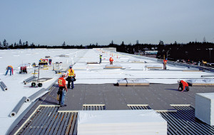 The Building Code and Low Slope Roofing Systems