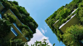 biophilic-designs-aren't-enough-to-reduce-carbon-emissions.jpg