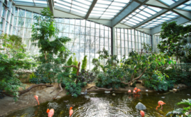 The National Aviary’s Wetlands Habitat