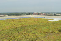 green roofs