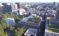 Green roofs